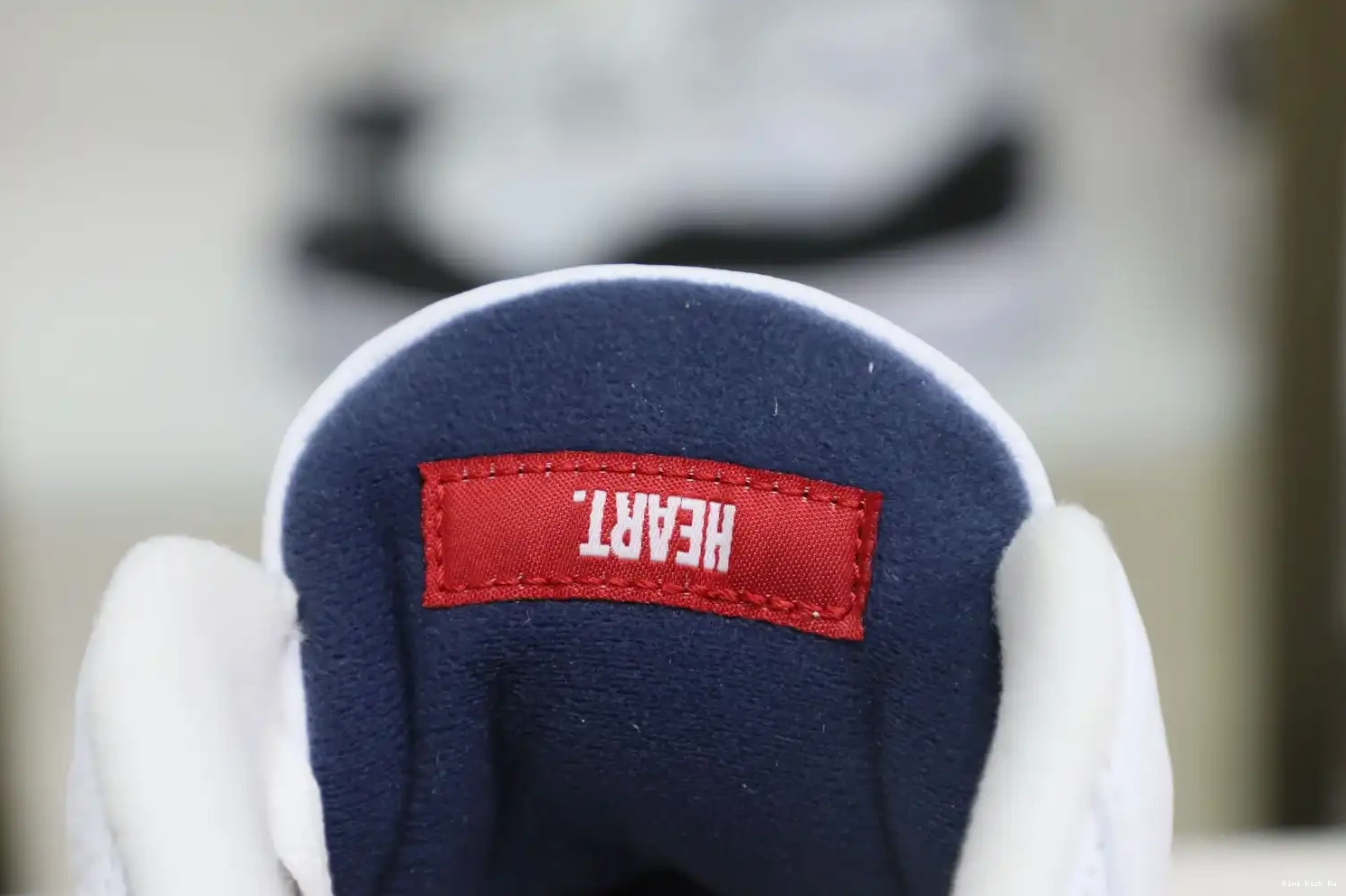 Jordan Jordan 3 Kimikick Air retro 0605